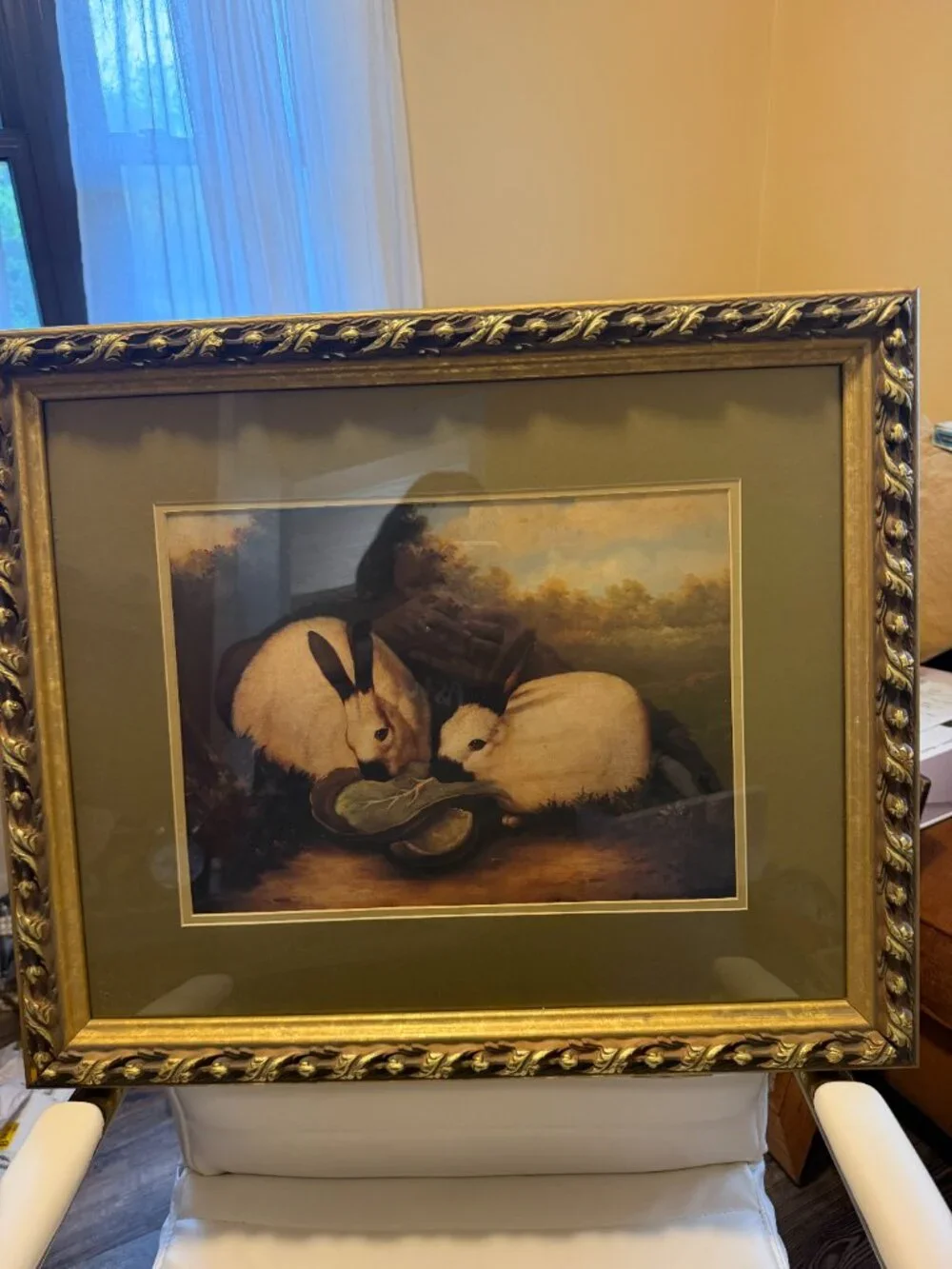 Vintage, Framed, P. Rolence Himalayan Rabbits Eating Cabbage-Beautiful!